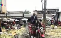Biến lá ngô thành nhiên liệu