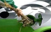 Sản xuất nhiên liệu hydro bằng… thân cây ngô
