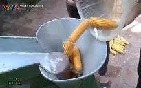 Máy tách ngô do học sinh lớp 10 chế tạo