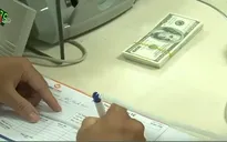 Ban hành quy định mới về hạn chế sử dụng ngoại hối tại Việt Nam