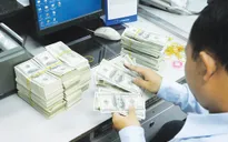Tỷ giá USD/VND đã hạ nhiệt