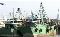 Nỗ lực đưa ngư dân bị Indonesia bắt giữ về nước dịp Tết Nguyên đán