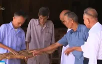 Người già nhưng sức không già