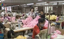 99% hàng rào thuế quan Việt Nam sẽ được xóa bỏ khi vào EU