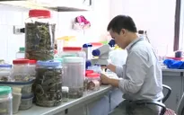 Thu hút nhà khoa học trẻ: Cần chính sách đãi ngộ tốt