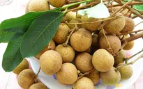 Nhãn lồng Hưng Yên sắp "xuất ngoại" sang Mỹ
