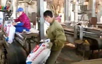Nhập khẩu phân bón tăng mạnh