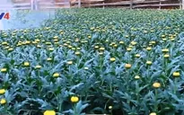Thí điểm dự án ứng dụng công nghệ trong quản lý nông nghiệp