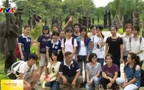 Sinh viên Nhật hào hứng với chương trình giao lưu tại Việt Nam