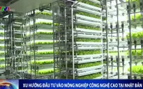 Xu hướng đầu tư vào nông nghiệp công nghệ cao tại Nhật Bản