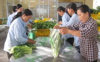 Hà Nội :Triển khai chuỗi cung cấp rau, thịt an toàn