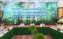 Mô hình sản xuất lâm nghiệp hiệu quả cao còn khiêm tốn