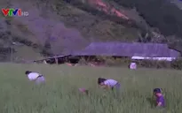 Việt Nam hoàn thành tốt mục tiêu xóa đói giảm nghèo