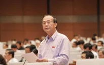 Đại biểu Quốc hội: Phần lớn nợ xấu chỉ được gom lại, chưa xử lý?