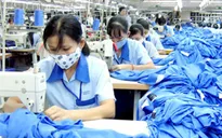 Doanh nghiệp nợ tiền bảo hiểm có thể bị xử lý hình sự