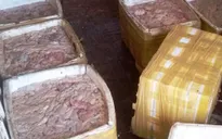 Ninh Bình: Thu giữ hơn 5 tạ nội tạng động vật và 12 cá thể động vật hoang dã