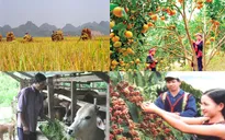 Việt Nam tổ chức Diễn đàn đối tác khu vực châu Á về nông nghiệp