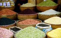 Bộ Tài chính đề xuất bỏ thuế VAT mặt hàng nông, thủy sản chưa chế biến