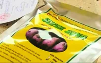 Xử phạt gần 22 tỷ đồng vi phạm chất lượng vật tư nông nghiệp
