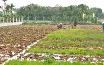Thu hút DN vào nông nghiệp: Cần những chính sách hấp dẫn hơn