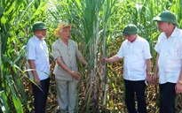 Nông nghiệp công nghệ cao - Giải pháp tăng hiệu quả kinh tế
