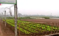 Xây dựng nông thôn mới còn thiếu vắng doanh nghiệp