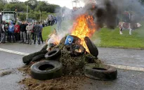 Nông dân Bỉ biểu tình phản đối giá thực phẩm giảm