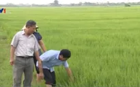 Đưa công nghệ Nhật Bản vào nông nghiệp Việt Nam