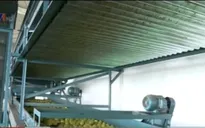 Brazil: Khuyến khích phát triển nông nghiệp hộ gia đình