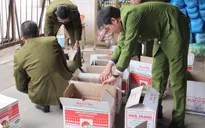 Quảng Bình: Khởi tố vụ sản xuất nước mắm giả lớn nhất từ trước tới nay