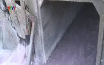 Vũng Tàu: Nhiễm nước thải công nghiệp, cá chết hàng loạt