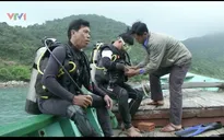 Nghề lặn biển: Đánh cược tính mạng trong cuộc mưu sinh