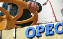 Các quốc gia OPEC bất đồng với thỏa thuận giảm sản lượng dầu