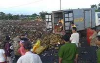Đăk Lăk: Bắt quả tang một cơ sở dùng hóa chất ép chín sầu riêng