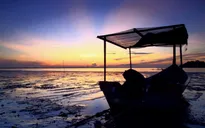 Penang - Điểm đến không nên bỏ lỡ ở Malaysia
