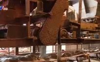 Chính sách thuế mới đội chi phí giá phân bón