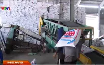 Giá phân bón giảm nhẹ theo giá xăng