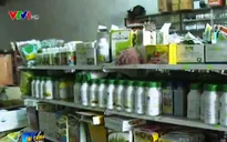 Nông dân hoang mang giữa "ma trận" phân bón thật, giả