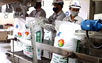 Chi phí sản xuất hóa chất, phân bón sẽ tăng 7% theo giá điện mới