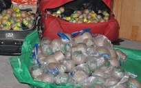 Quảng Ninh bắt vụ vận chuyển hơn 40kg pháo nổ