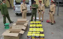 Công an Quảng Bình bắt gần 150kg pháo lậu