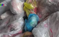 Phát hiện nhiều cơ sở cung cấp thực phẩm bẩn ở TP.HCM