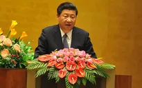"Việt Nam - Trung Quốc cần xuất phát từ đại cục để giải quyết bất đồng"