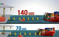 Cục quản lý cạnh tranh rà soát phụ phí vận tải biển