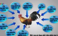 Phí và lệ phí có xu hướng tăng thêm