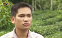 Dự án 600 Phó Chủ tịch xã: Bộ Nội vụ báo cáo, xin ý kiến Thủ tướng