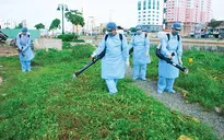 Năm 2015, dịch sốt xuất huyết được dự báo có diễn biến phức tạp