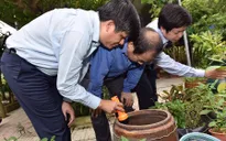 Bình Định cấp thêm 5 tỷ đồng phòng chống sốt xuất huyết