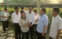 Nông nghiệp công nghệ cao – Cách làm từ TP.Hồ Chí Minh