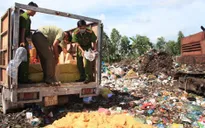 Gần 1 tấn ruốc không rõ nguồn gốc bị tiêu hủy